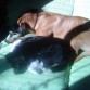 Echando la siesta al solecito con la Nala